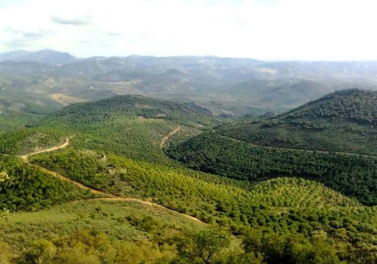 Exigen la recuperación de los caminos históricos al Santuario